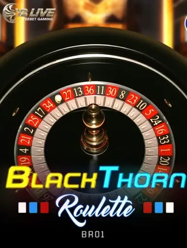 DE88 Turkish Roulette MR01